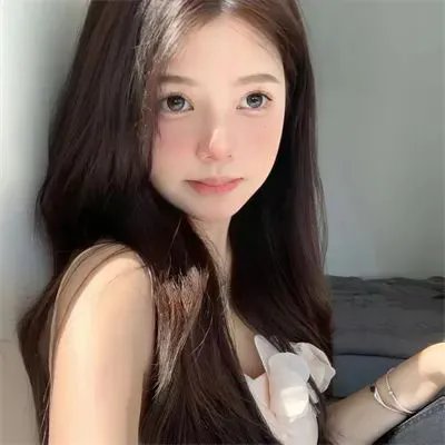 局内者们